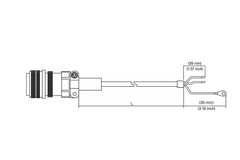 Servo Drive Delta ASD-CAPW1005