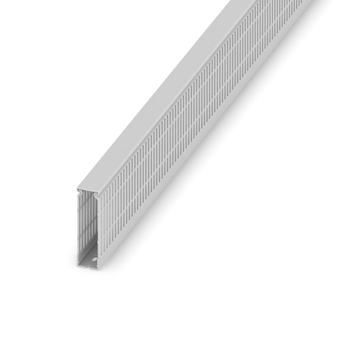 CD 30X100 - Canaleta de cableado